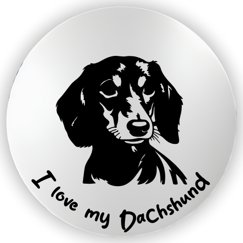 Dachshund Two
