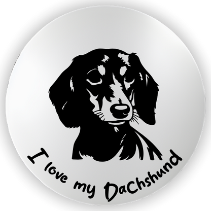 Dachshund Two
