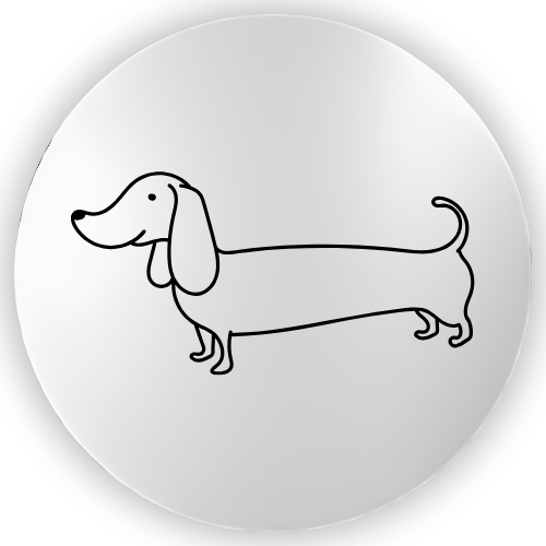 Dachshund One
