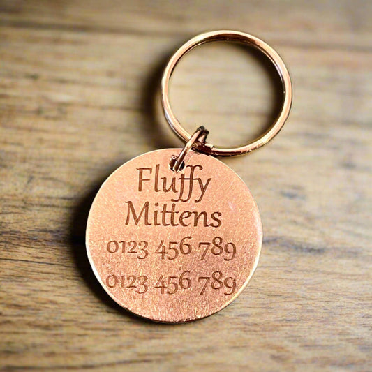 custom engraved small cat or puppy name tag
