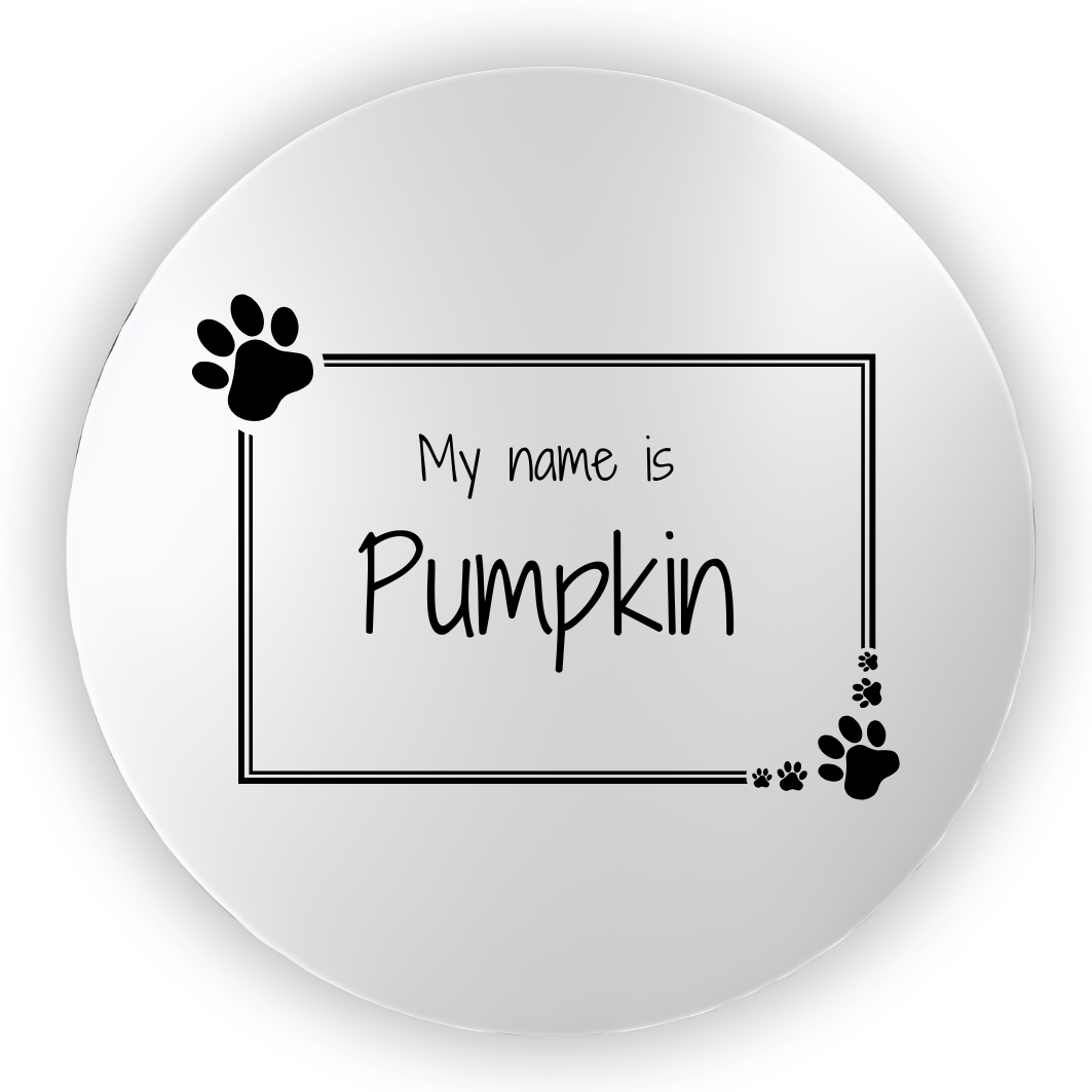 Pumpkin