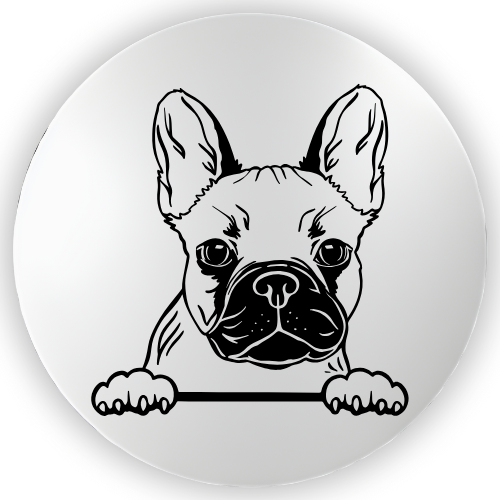 Frenchie