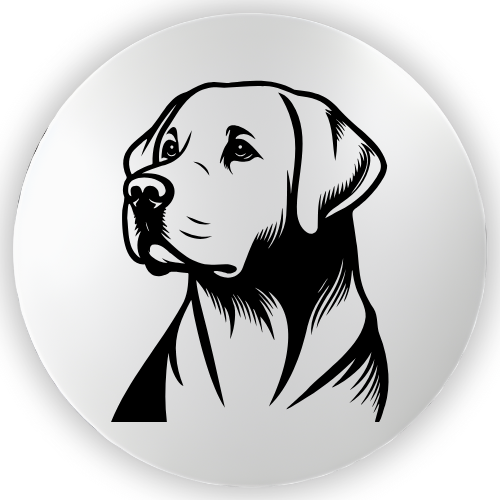Labrador