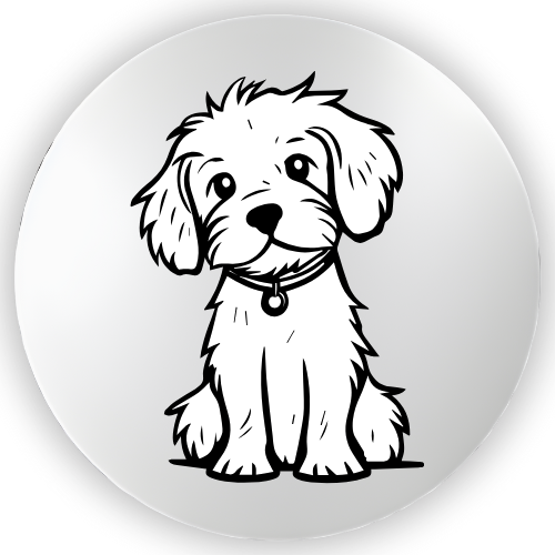 Scruffy Dog